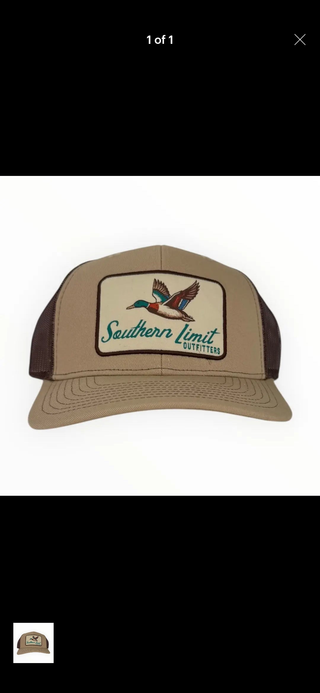 Duck Hat