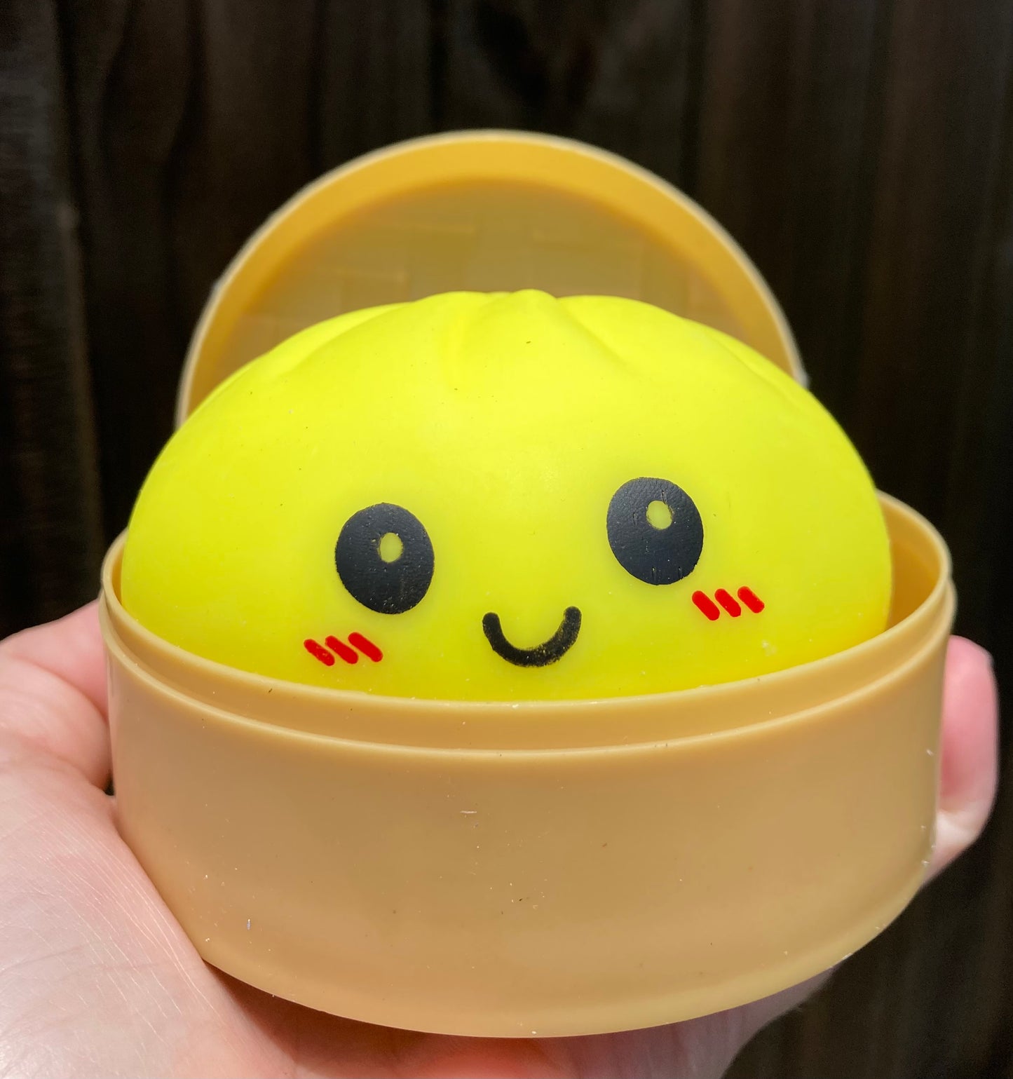 Dumpling Squishys
