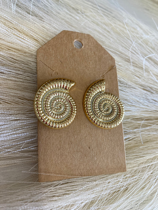 Mystery Shell Gold Studs