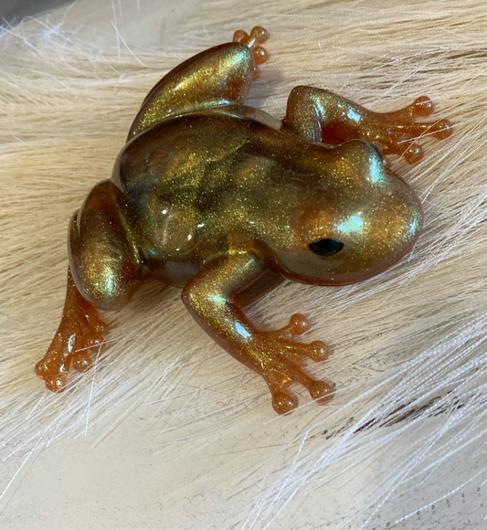 Shimmer Frog