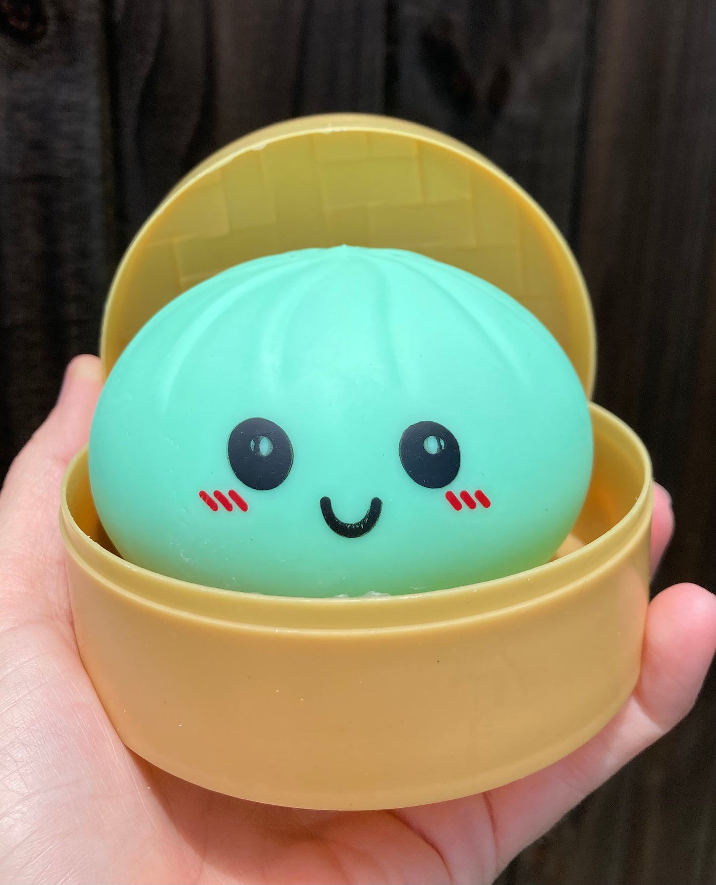 Dumpling Squishys