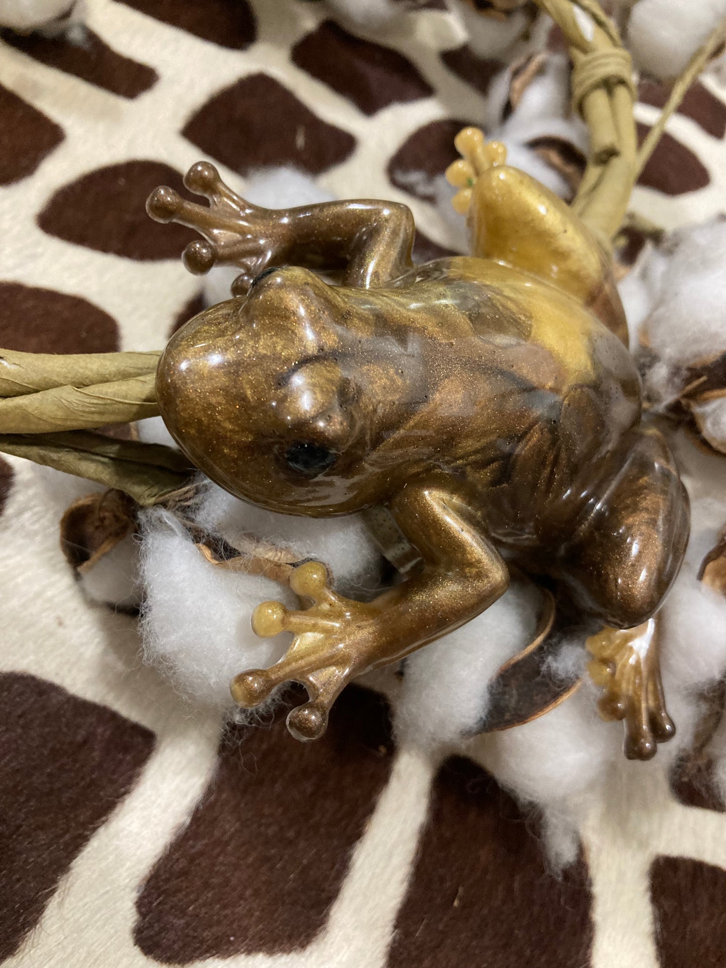 Mustard Bronzed Frog (217)