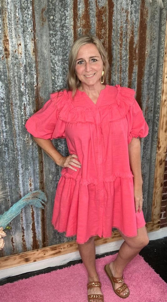 Berry Button Down Dress