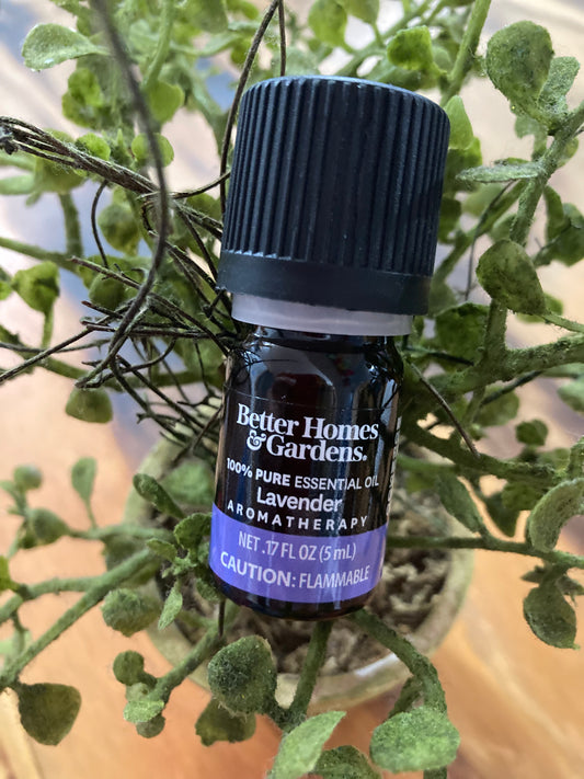 Lavender Oil