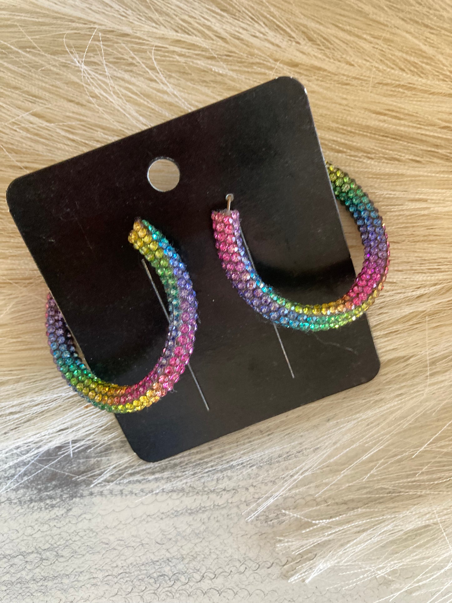 Rainbow Earrings