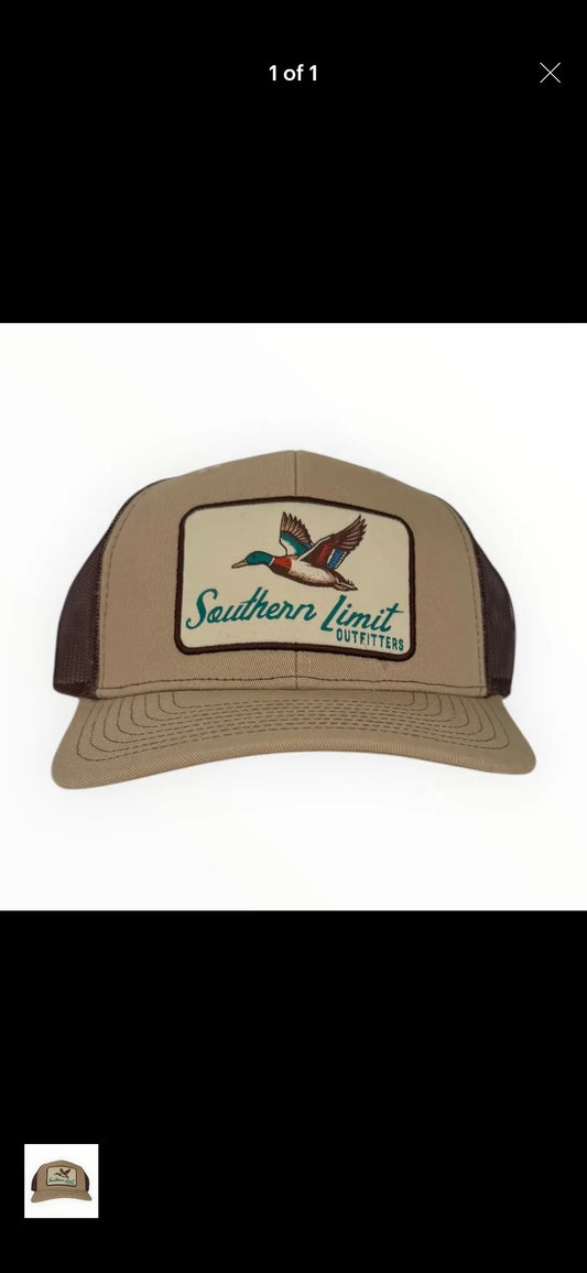 Duck Hat