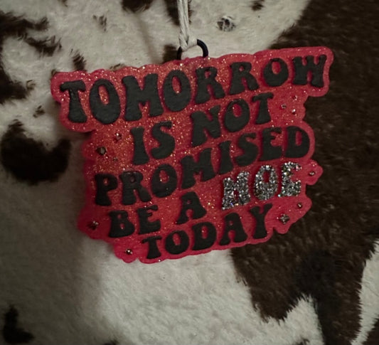 Tomorrow is not promised Freshie